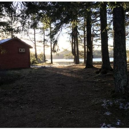 Vennesla Cabin In The Woods, Lolandsvannet Near Kristiansand المظهر الخارجي الصورة