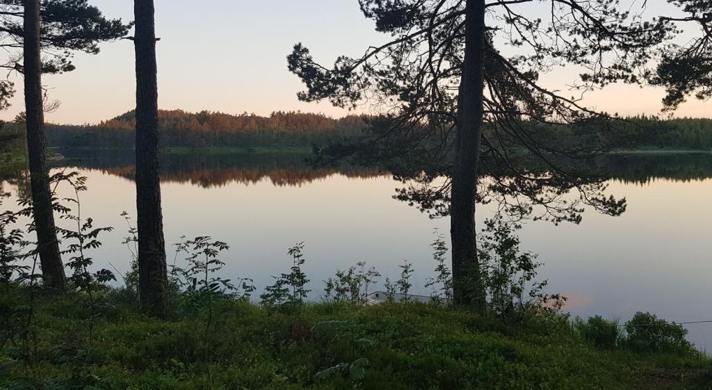 Vennesla Cabin In The Woods, Lolandsvannet Near Kristiansand المظهر الخارجي الصورة