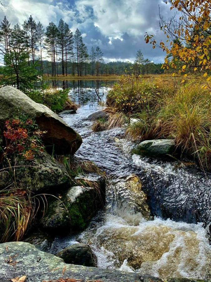 Vennesla Cabin In The Woods, Lolandsvannet Near Kristiansand المظهر الخارجي الصورة