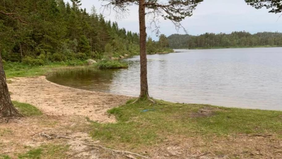 Vennesla Cabin In The Woods, Lolandsvannet Near Kristiansand المظهر الخارجي الصورة