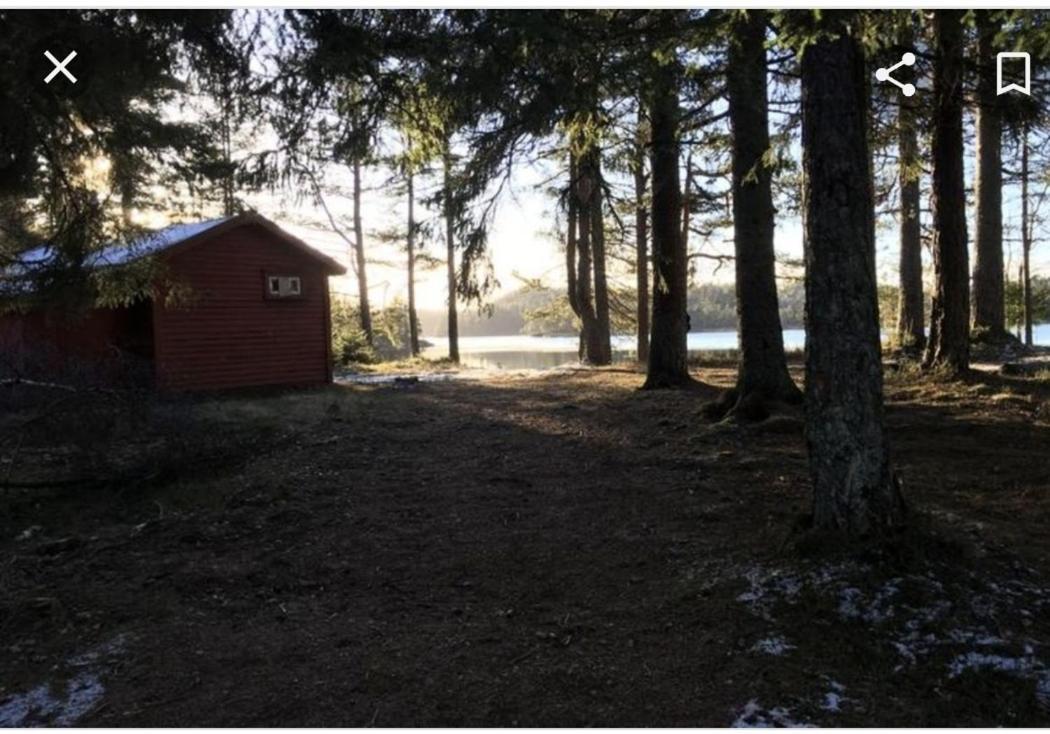 Vennesla Cabin In The Woods, Lolandsvannet Near Kristiansand المظهر الخارجي الصورة