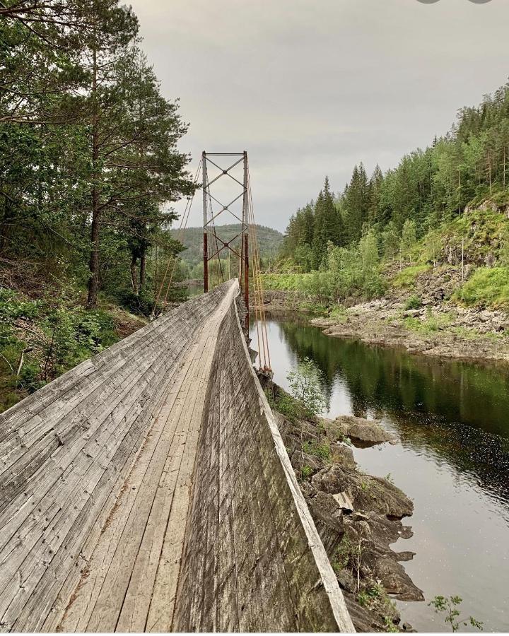 Vennesla Cabin In The Woods, Lolandsvannet Near Kristiansand المظهر الخارجي الصورة